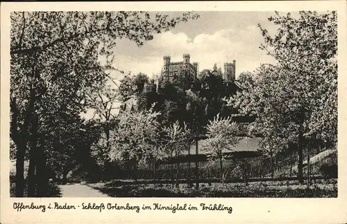 Offenburg Schloss Ortenberg / Offenburg /Ortenaukreis LKR