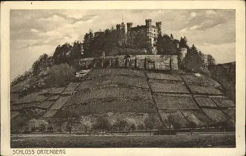 Offenburg Schloss Ortenberg / Offenburg /Ortenaukreis LKR