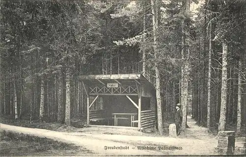 Freudenstadt Wildhuette Palmenwald / Freudenstadt /Freudenstadt LKR