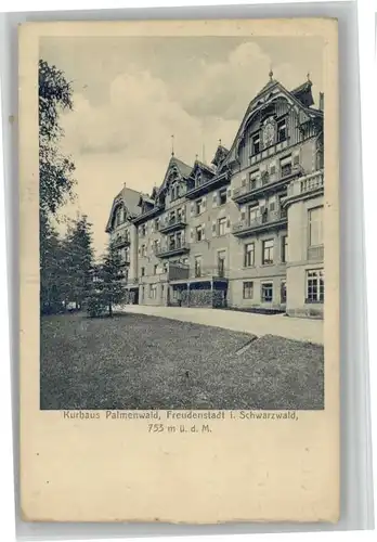 Freudenstadt Kurhaus Palmenwald *