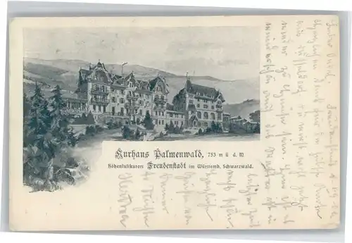 Freudenstadt Kurhaus Palmenwald x