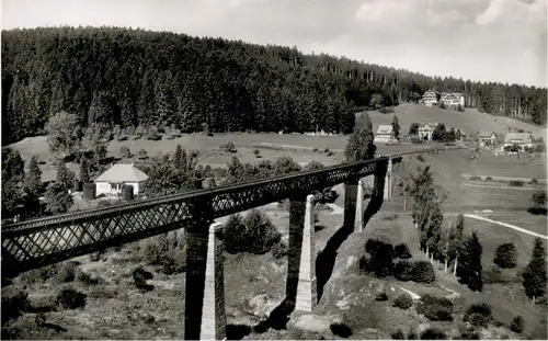 Freudenstadt Eisenbahn Bruecke *