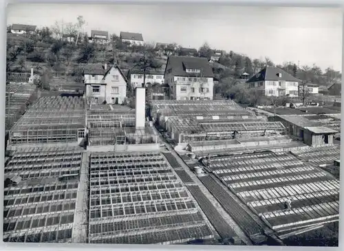 Tuebingen Blumen Endriss Wildermuthstrasse 30 *