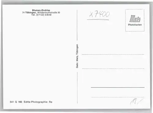 Tuebingen Blumen Endriss Wildermuthstrasse 30 *