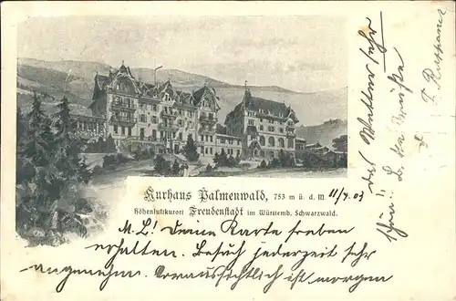 Freudenstadt Kurhaus Palmenwald Kat. Freudenstadt