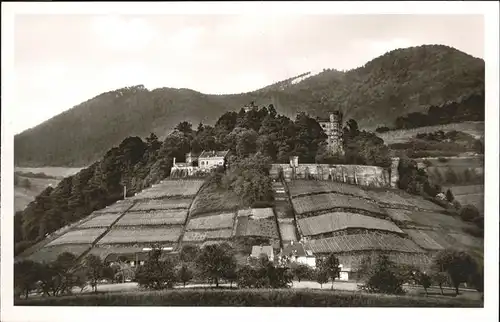 Offenburg Jugendherberge Schloss Ortenburg Kat. Offenburg