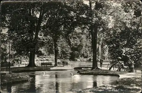 Offenburg Zwinger Anlagen Schwaene Kat. Offenburg