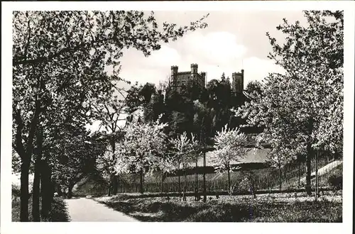 Offenburg Schloss Ortenberg Kat. Offenburg