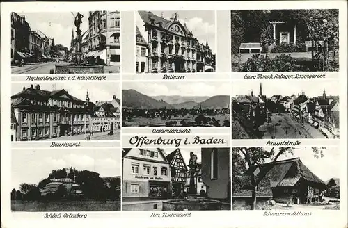 Offenburg Neptunbrunnen Rosengarten Schloss Ortenberg Fischmarkt  Kat. Offenburg