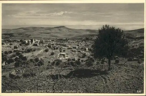 Bethlehem Yerushalayim  Sheppherds Field  / Bethlehem /