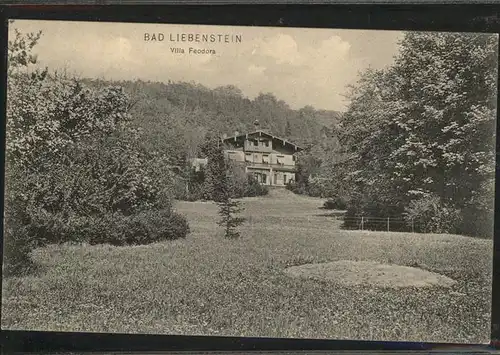 Bad Liebenstein Villa Feodora Kat. Bad Liebenstein