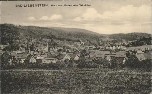 Bad Liebenstein vom Marienthaler Waeldchen Kat. Bad Liebenstein