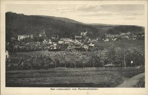 Bad Liebenstein vom Marienwaeldchen Kat. Bad Liebenstein