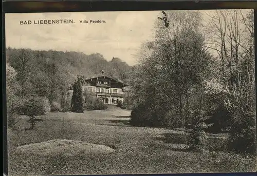 Bad Liebenstein Villa Feodora Kat. Bad Liebenstein