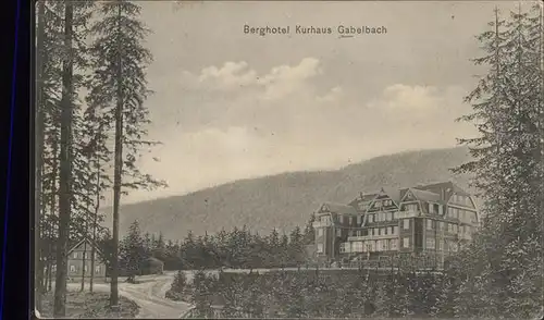 Ilmenau Thueringen Berghotel Kurhaus Gabelbach Kat. Ilmenau