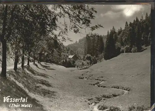 Vesser Rennsteig Vessertal Kat. Schmiedefeld Rennsteig