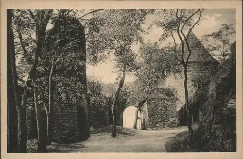 Elsterberg Vogtland Burgruine Einganstor Ringmauer Wachtuerme Kat. Elsterberg Vogtland