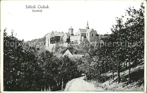 Saaletal Schloss Goleck Kat. Hohenwarte