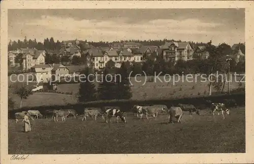 Oberhof Thueringen Panorama mit Kuehen Kat. Oberhof Thueringen