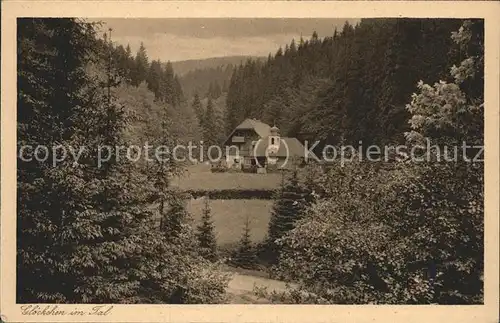 Gehlberg Gloeckchen im Tal Muehle Kat. Gehlberg