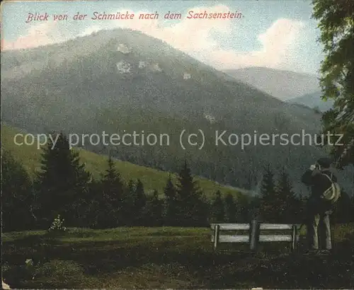 Schmuecke Blick auf Sachsenstein Kat. Gehlberg