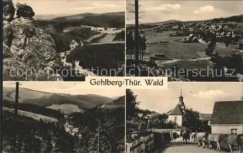 Gehlberg Ansichten Kuehe Kat. Gehlberg