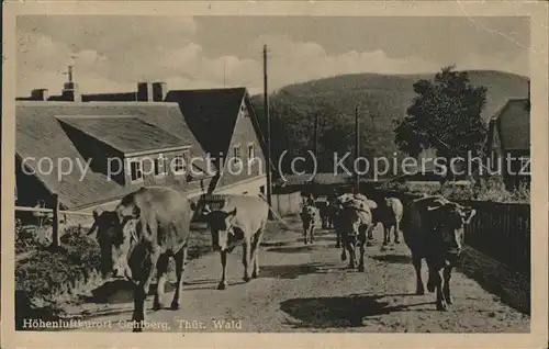 Gehlberg Strasse Kuehe Kat. Gehlberg