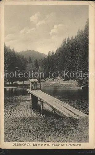 Oberhof Thueringen Sieglitzteich Kat. Oberhof Thueringen