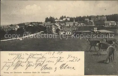 Oberhof Thueringen Panorama mit Wild Kat. Oberhof Thueringen