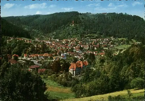 Bad Liebenzell Panorama Kat. Bad Liebenzell