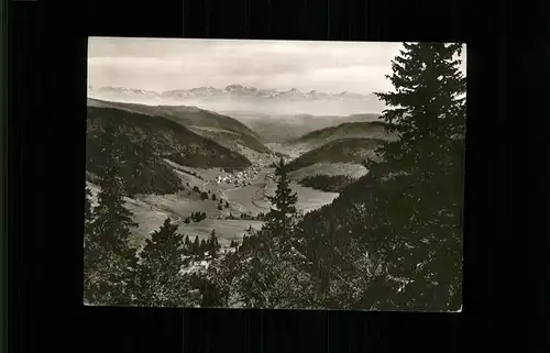 Menzenschwand Panorama mit Alpen Kat. St. Blasien