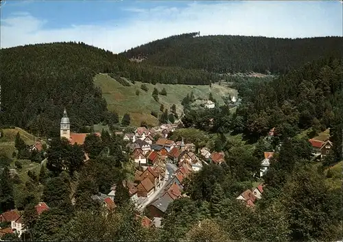 Wildemann Panorama  Kat. Wildemann Harz