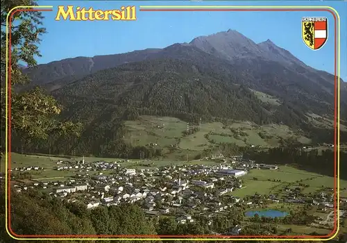 Mittersill Oberpinzgau Panorama See Alpen Wappen Kat. Mittersill