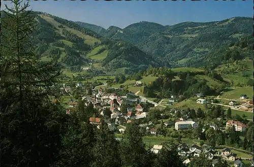 Tuernitz Niederoesterreich Panorama Eibel Kat. Tuernitz