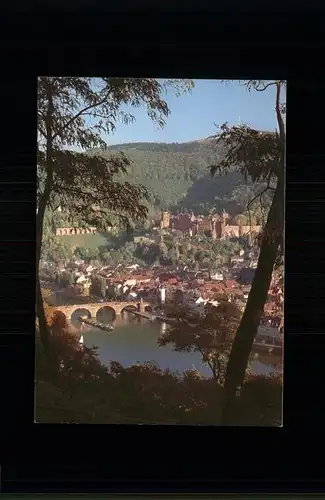 Heidelberg Neckar Blick vom Philosophenweg Panorama Neckar Bruecke Stadt Schloss Kat. Heidelberg