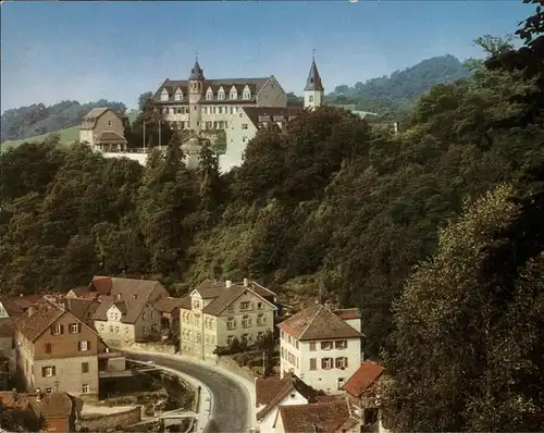 Bensheim Bergstrasse Schloss Schoenberg Kat. Bensheim