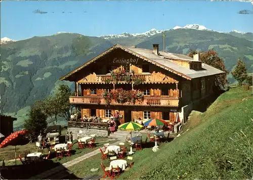 Zell Ziller Tirol Alpengasthof Enzianhof Kat. Zell am Ziller