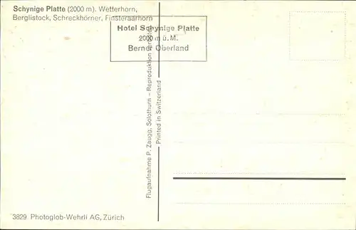 Schynige Platte Panorama mit Wetterhorn Berglistock Schreckhoerner Finsteraarhorn Kat. Schynige Platte