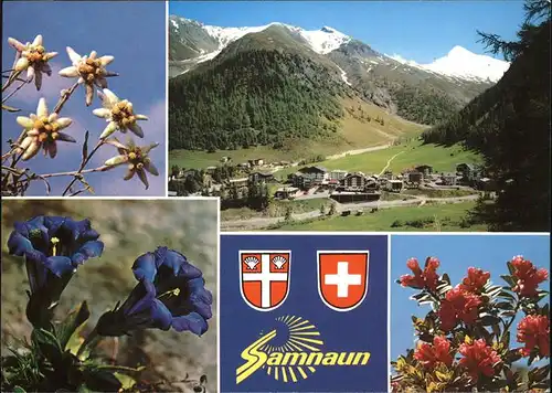 Samnaun Dorf Panorama Blumen Wappne Kat. Samnaun Dorf