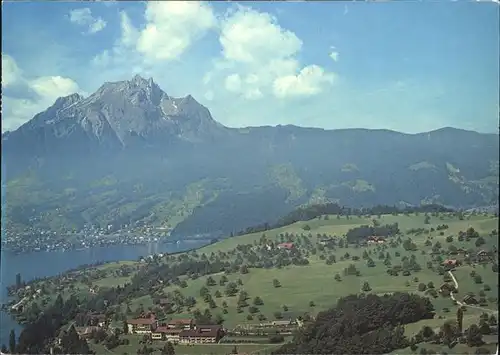 Kastanienbaum Fliegeraufnahme Kurheim St.Chrischona Vierwaldstaettersee Kat. Kastanienbaum