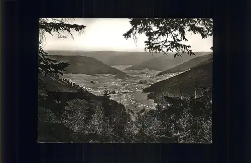 Kniebis Freudenstadt Panorama / Freudenstadt /Freudenstadt LKR