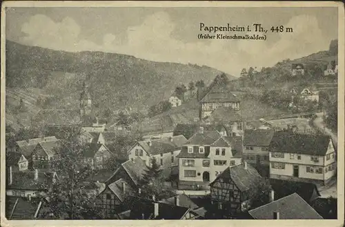Pappenheim Thueringen  Kat. Floh Seligenthal
