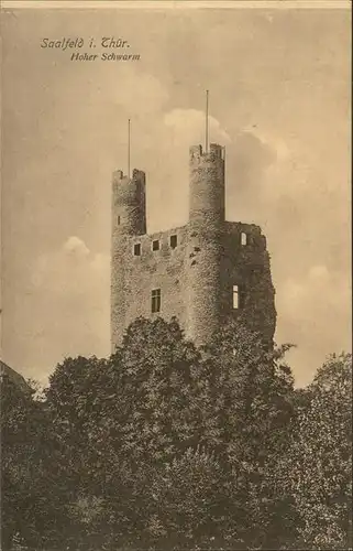 Saalfeld Saale Ruine Hoher Schwarm Kat. Saalfeld