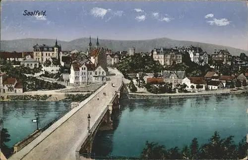 Saalfeld Saale Stadtblick mit Saalebruecke Kat. Saalfeld