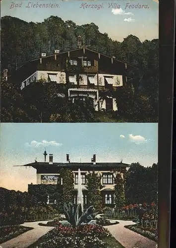 Bad Liebenstein Herzogl.Villa Feodora Kat. Bad Liebenstein