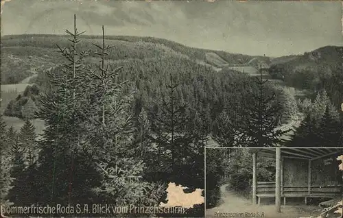 Roda Stadtroda Blick vom Prinzenschirm Kat. Stadtroda