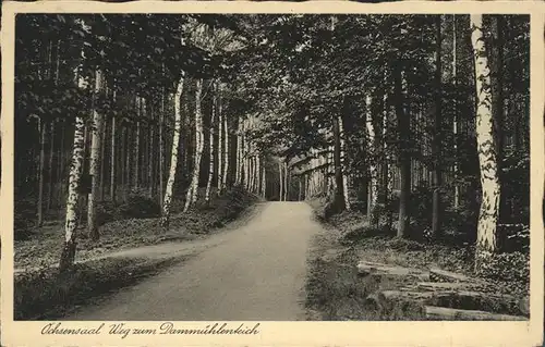 Ochsensaal Dahlener Heide Froehlichs Gasthof Kat. Dahlen Sachsen