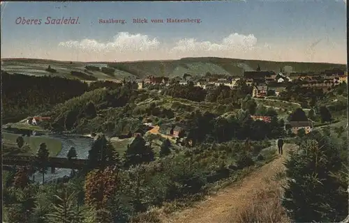 Saalburg Saale Saaletal Blick vom Hatzenberg Kat. Saalburg Ebersdorf