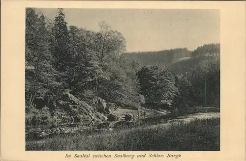 Saalburg Saale Saaletal zwischne Saalburg und Schloss Burgk Kat. Saalburg Ebersdorf