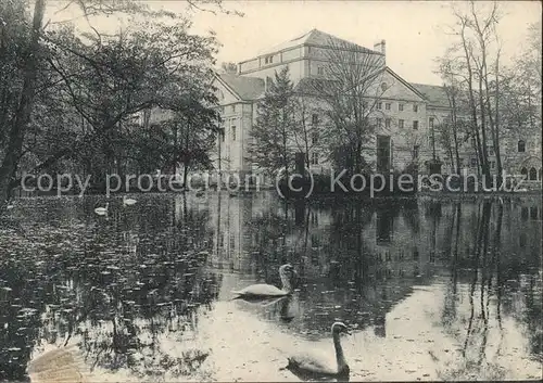 Meiningen Thueringen Hoftheater Englischer Garten Schwanenteich Kat. Meiningen